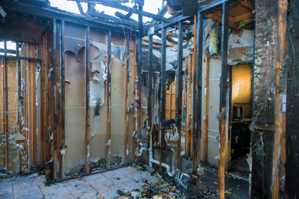 Professional Fire Damage Removal technician working in South Saint Paul, MN
