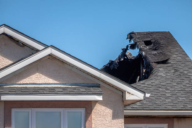 Top rated local Fire Damage Removal specialists in South Saint Paul, MN